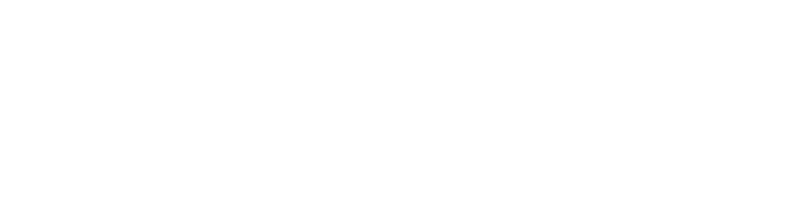 Toledo Metais